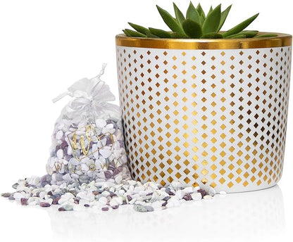 6 Inch Ceramic Plant Pot - Small White Planter with Gold Diamonds - Perfect for Succulents Like Jade & Cactus - Decorative Pebbles Included - Cute Flower Pots Indoor or Outdoor Home Décor