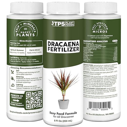 Dracaena Fertilizer - Liquid Plant Food for All Dracaena Plants and Trees, 8 oz