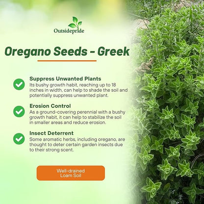 Outsidepride Greek Oregano Seeds - 5000 Pcs Perennial, Aromatic Easy to Grow Herb Seeds for Culinary Use, Flavorful Oregano Gardens & Tea Preparation, Food Seasoning & Traditional Uses