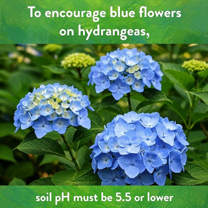 Down To Earth All Natural Fertilizers Organic Garden Sulfur Acidifier - Soil Amendment Lowers Soil pH for Hydrangeas, Berries, Evergreens, 5 lb