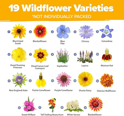 HOME GROWN Wildflower Seeds Mix - 47,400+ Non-GMO - 19 Perennial Flower Varieties for Planting Outdoors - Attract Butterflies & Birds - 3oz Wild Flower Seed Mix