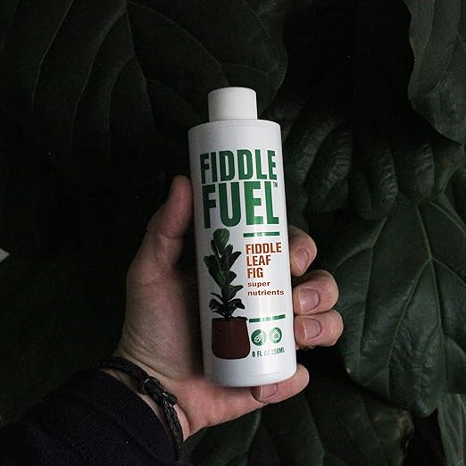Fiddle Fuel – The Ultimate Fiddle Leaf Fig Premium Plant Fertilizer Liquid Nutrients Super Easy to Use for Fig Trees and Plants (Ficus Lyrata) – 8 oz