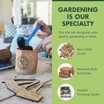 Indoor Herb Garden Seed Starter Kit - Herbal Tea Growing Kits, Grow Medicinal Herbs Indoors, Seeds for Planting, Soil, Plant Markers, Pots, Infuser, Planter Box, Gardening Gifts for Women