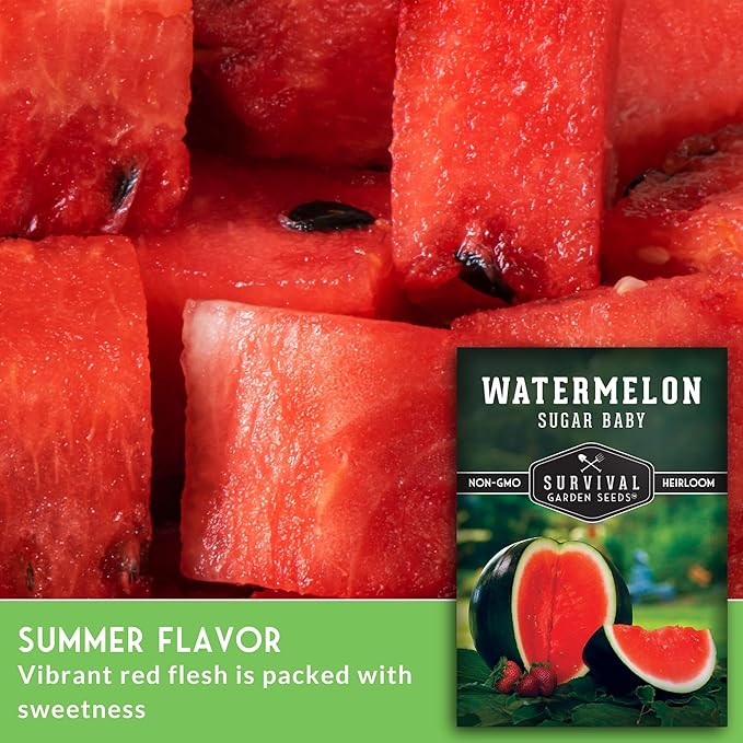Sugar Baby Watermelon Seeds - Grow Little Round Icebox Watermelons at Home - Non-GMO Heirloom Variety for Planting - Survival Garden Seeds (1 Pack)