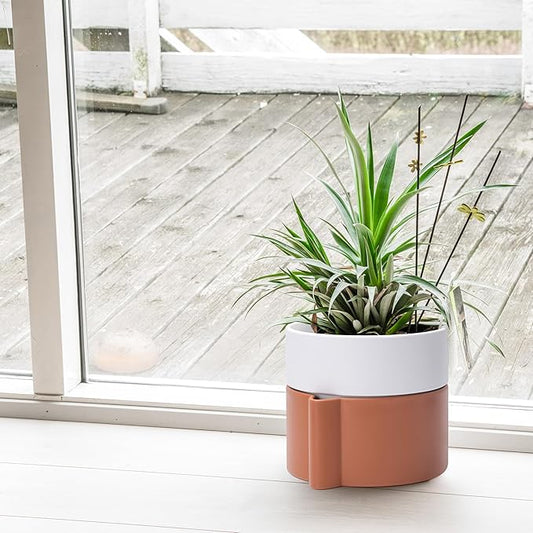 8 Inch Self-Watering Planter Pot with Terracotta Insert, Deep Water Reservoir, and Ceramic-Alike BPA-Free Plastic Planter Pot for Plant, Modern Planter for Houseplants, Terracotta/White, 53-B-T-6