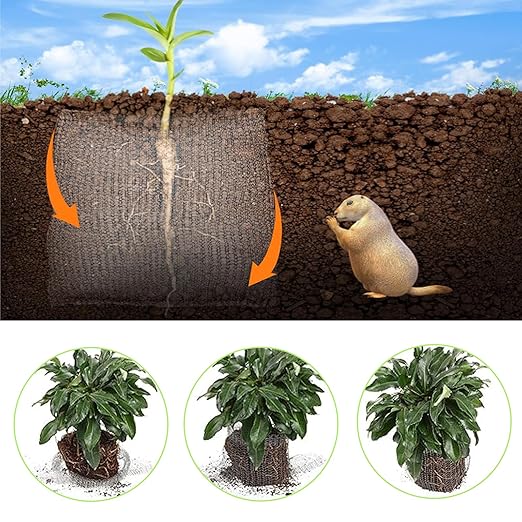 8 Pack Root Guard 3 Gallon Gopher and Vole Wire Speed Baskets Plant Root Protector Stainless Steel Wire Baskets Anti Gopher Baskets for Plant Root Protection