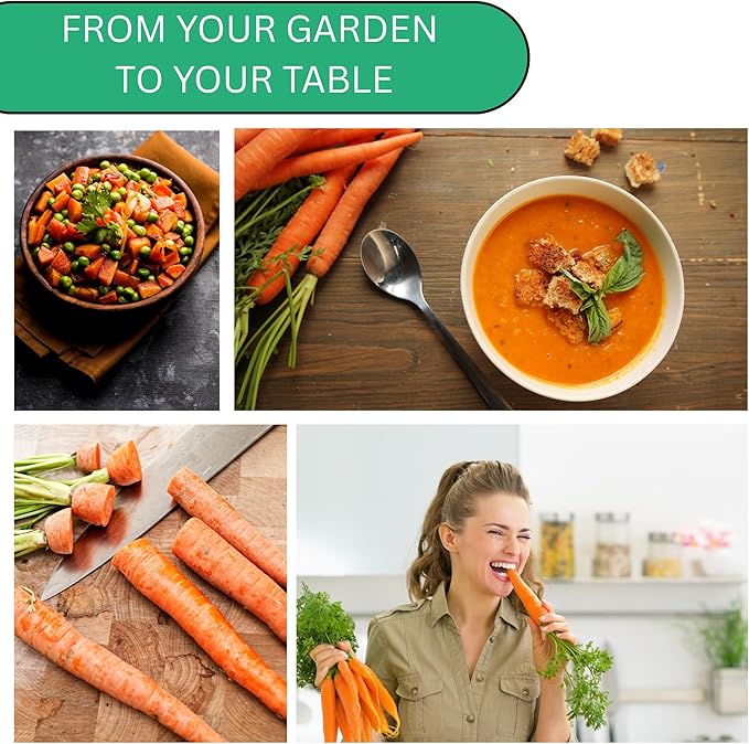 Imperator 58 Carrot Seeds for Planting – Heirloom Non-GMO Long Root Carrots for Home Gardens | Woods Creek Seeds