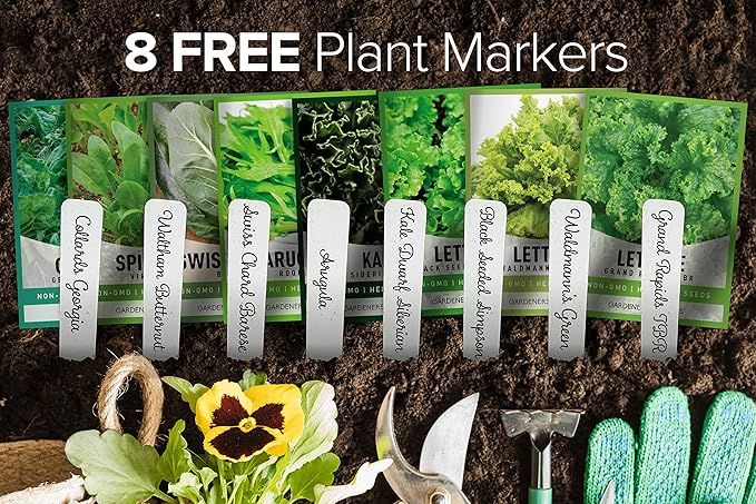 Gardeners Basics, 8 Leafy Garden Greens Seeds for Planting Individual Packets - Arugula, Collards, Spinach, Swiss Chard, Kale, Lettuce, Leafy and Butter Lettuce Seeds for Your Heirloom Salad Garden