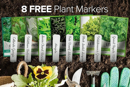 Gardeners Basics, 8 Leafy Garden Greens Seeds for Planting Individual Packets - Arugula, Collards, Spinach, Swiss Chard, Kale, Lettuce, Leafy and Butter Lettuce Seeds for Your Heirloom Salad Garden
