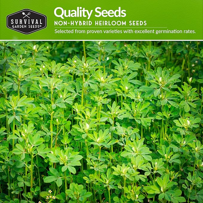 10 Spring Vegetable Seed Collection for Planting | Cool Season Root Vegetables & Leafy Greens, Suitable for Fall & Winter Gardens – Heirloom Non-GMO Variety Pack | Survival Garden Seeds