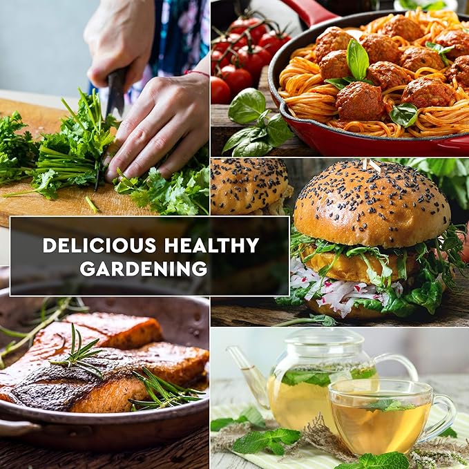 12 Culinary Herb Seeds Pack - Heirloom and Non GMO, Grown in USA - Indoor or Outdoor Garden - Basil, Parsley, Dill, Cilantro, Rosemary, Mint, Thyme, Oregano, Tarragon, Chives, Sage & More