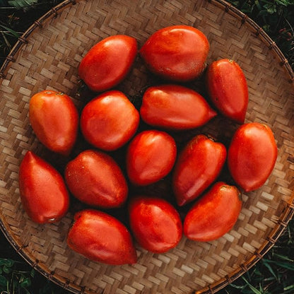 Amish Paste Tomato - 50 Seeds - Heirloom Amish Tomato Variety, Super for Sauce & Canning, USA-Grown, Non-GMO Heirloom Tomato Seeds for Planting Outdoors in The Home Garden, Thresh Seed Company