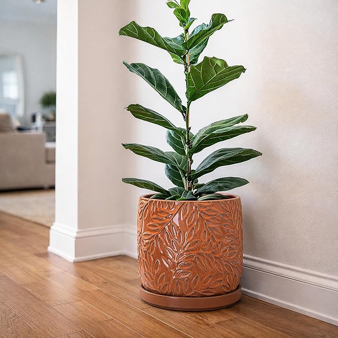 D'vine Dev 10 Inch Embossed Leaves Stoneware Planter Pot with Drainage Hole and Saucer, Pumpkin, 27-A-P-J