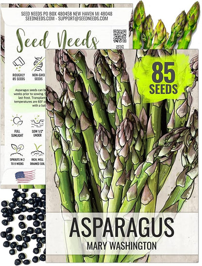 Seed Needs Asparagus Seeds for Planting Mary Washington Asparagus - Non-GMO Heirloom & Untreated Perennial Vegetable Seed to Plant an Outdoor Home Grown Garden (1 Pack)