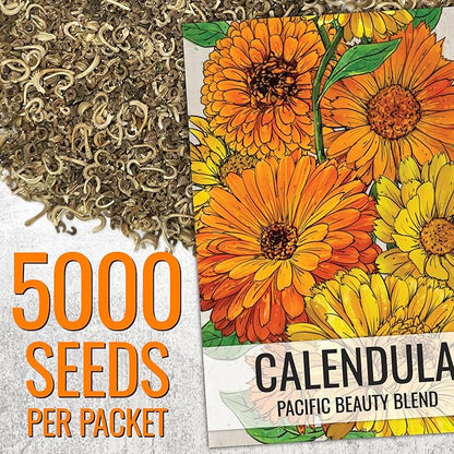 Seed Needs Calendula Seeds Pacific Beauty Mix | 5,000+ Seeds Calendula Officinalis Non-GMO Annual | Large Orange Yellow Blooms Garden Variety Favorite | Bulk Wildflower Seed