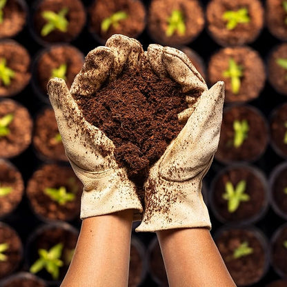 Coco Bliss 650gm Bricks (6-Pack) - Organic Coco Coir for Plants - OMRI-Listed Coco Coir for Garden Soil & Potting Mixes - Coconut Fiber Mixes with Potting Soil for Indoor Plants & Outdoor Plants