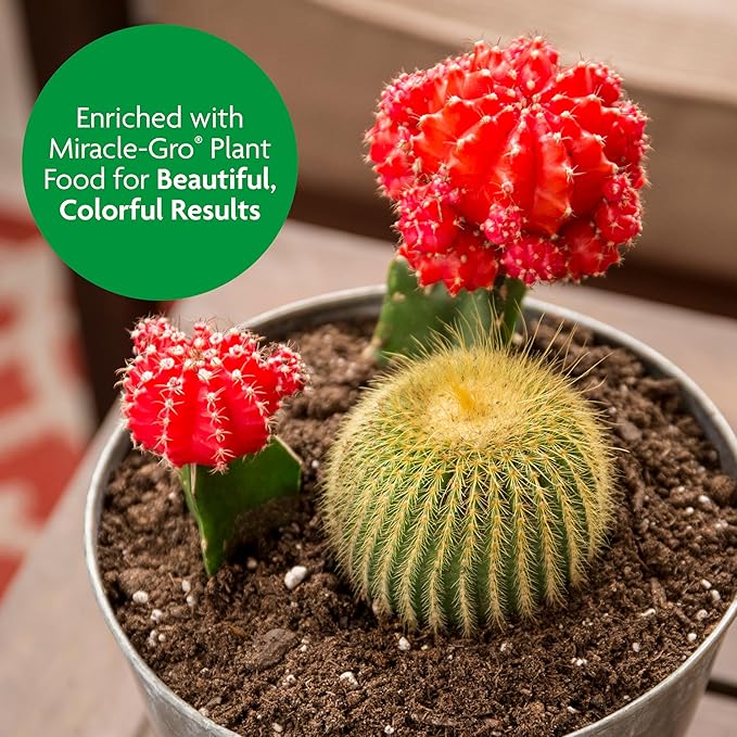 Miracle-Gro Cactus, Palm and Citrus Potting Mix, For Indoor or Outdoor Potted Plants, Great for Succulents, 8 qt.