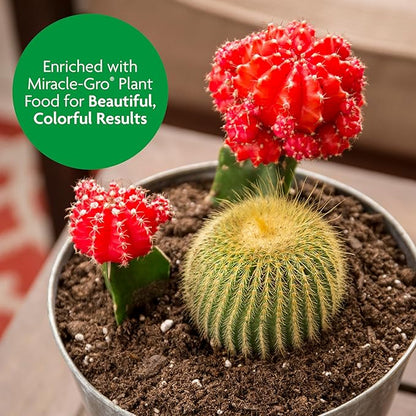 Miracle-Gro Cactus, Palm and Citrus Potting Mix, For Indoor or Outdoor Potted Plants, Great for Succulents, 8 qt.