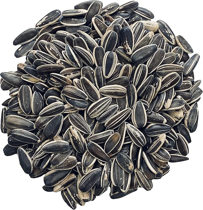 Pendelton Turf Supply Striped Sunflower | All-Natural, Premium Bird Food (5 lb Resealable Bag)