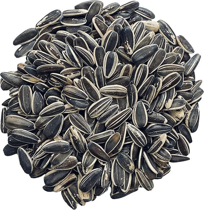 Pendelton Turf Supply Striped Sunflower | All-Natural, Premium Bird Food (5 lb Resealable Bag)