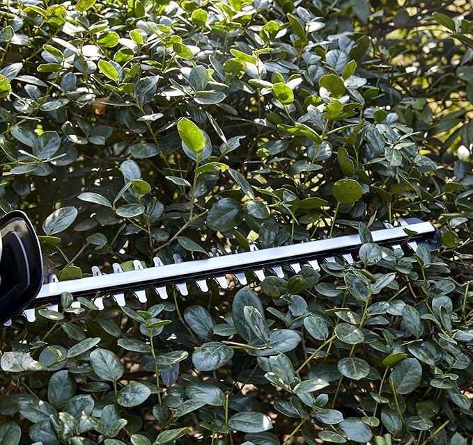 KAKEI 20V Cordless Hedge Trimmer with 520mm Blade & 40Min Runtime | Adjustable 5-Angle Swivel Handle, Lightweight Aluminum Body, Blade Guard for Effortless Trimming