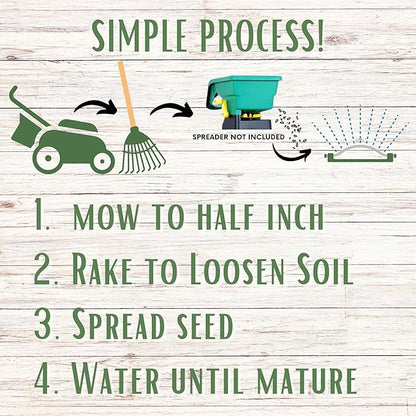 Flawn Seed Kits Simple Lawn Mow Less Fine Fescue Eco-Grass Seed, 8 Lbs, Low Maintenance, Pail with Handle, Covers up to 4000 Sqft
