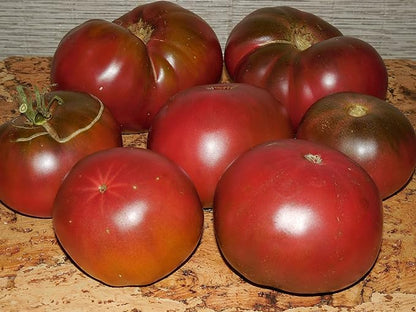 Seeds Tomato Black Prince Giant Heirloom Vegetable Non GMO