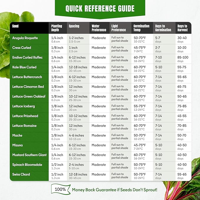 Lettuce & Salad Greens Seeds Variety Pack – Spinach, Kale, Arugula, Romaine & Iceberg Lettuce – 15 Varieties, 7300+ Non-GMO Heirloom Seeds, Indoor & Outdoor Growing