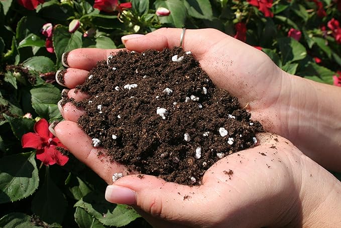 Espoma Potting Mix, Natural & Organic, for Indoor & Outdoor Potted Plants, 8 qt, Pack of 6