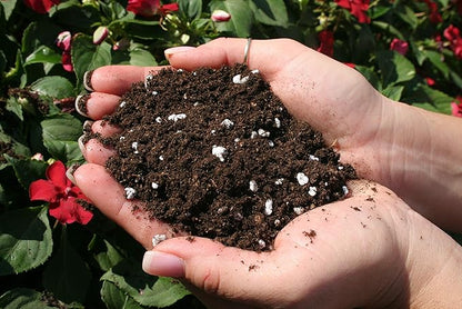 Espoma Potting Mix, Natural & Organic, for Indoor & Outdoor Potted Plants, 8 qt, Pack of 6