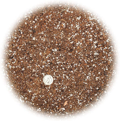 Gardenera Professional Carnivorous Plant Soil - Ready to Use for Venus Flytraps, Sundews, Pitcher Plants, Butterworts | Peat Moss, Coco Coir, Perlite - 5 Quart Bag