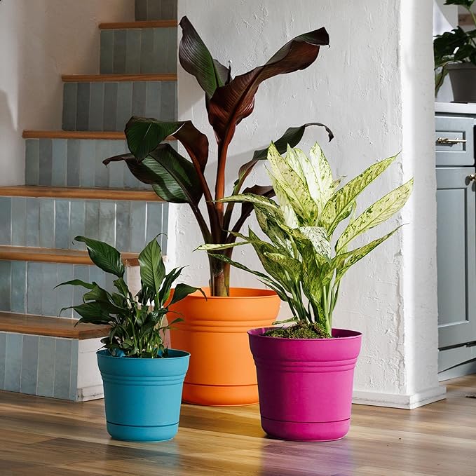 Bloem Saturn 14" Mango Round Resin Planter Pot with Snap-in Saucer for Indoor and Outdoor Gardening