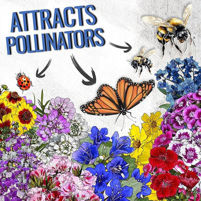 Seed Needs 2 Ounce Low Growing Wildflower Flower Seeds for Planting | Mixture/Blend 17 Varieties | Resealable Package Multicolored Blooms Open Pollinated Mixed Species | Bulk