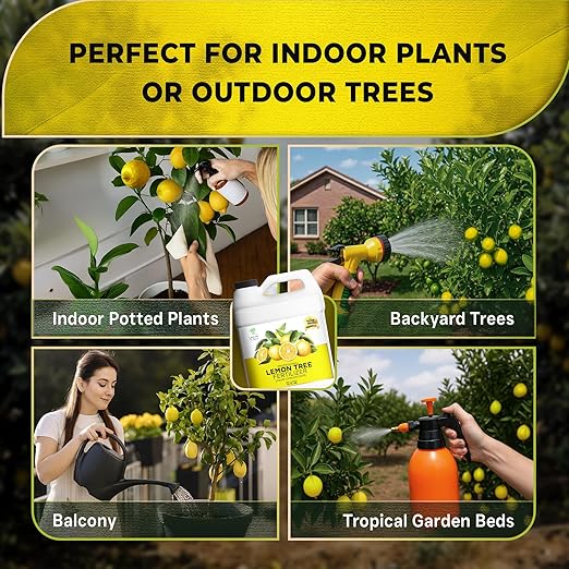Leaves and Soul Professional Lemon Tree Fertilizer Liquid Concentrate - 6-4-6 Blend for Fruit Tree Fertilizer, Garden - Liquid Plant Food for Lemon Trees in Pots or Outdoors - 32oz