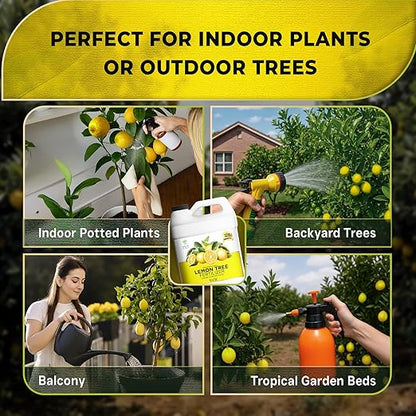 Leaves and Soul Professional Lemon Tree Fertilizer Liquid Concentrate - 6-4-6 Blend for Fruit Tree Fertilizer, Garden - Liquid Plant Food for Lemon Trees in Pots or Outdoors - 32oz