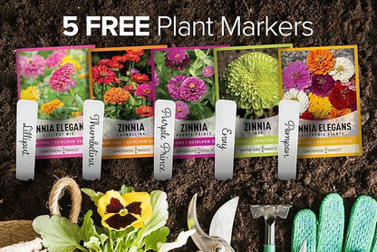 Gardeners Basics, Zinnia Seeds for Planting Outdoors Flower Seeds (5 Variety Pack) Thumbelina, Lilliput, Envy, Purple Prince and Pompon Varieties for Butterflies, Bees, Pollinators Wildflower Seed