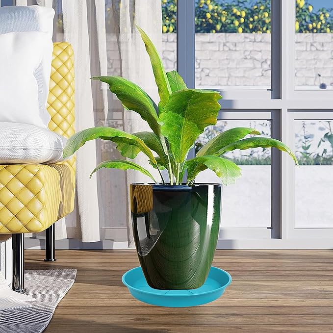 6 Pack of Plant Saucer Tray 7 8 inch, Heavy Duty Plastic Pot Plant Drip Trays Saucers for for Indoors Outdoor, Plant Water Tray for Planters 7-9" (8", Light Blue)