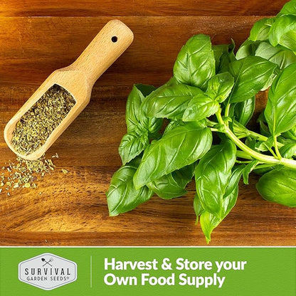 Basil Seeds Mix for Planting - Culinary Genovese Italian, Lemon, Lime, Opal & Thai Basil Seed Blend - Heirloom Non-GMO Kitchen Garden Herbs - Survival Garden Seeds (5 Packs)
