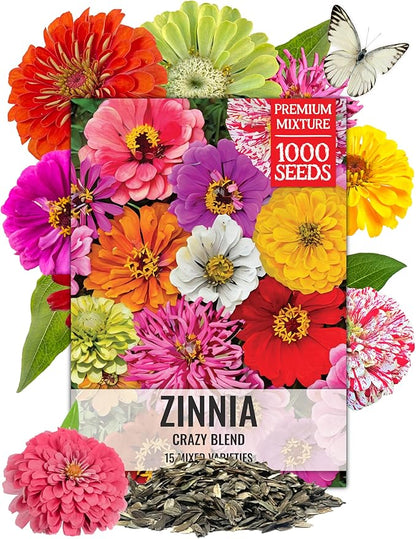 Seed Needs Zinnia Seeds 15+ Varieties Specialty Crazy Blend | 1,000+ Seeds Zinnia Elegans Open Pollinated | Includes California Giants, Candystripe & State Fair Species | Bulk