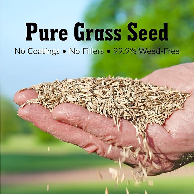 GreenView Pure Grass Seed Perennial Ryegrass Blend, 20 lb. Bag – Covers up to 10,000 sq. ft.
