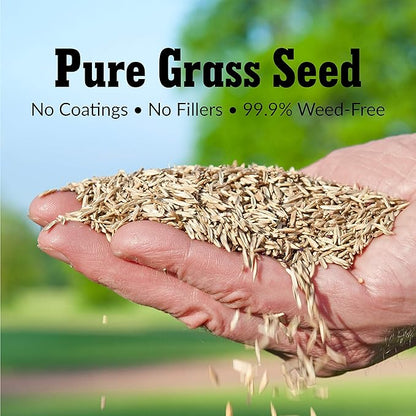 GreenView Pure Grass Seed Turf Type Tall Fescue Sun & Shade Blend, 7 lb. Bag – Covers up to 1,750 sq. ft.