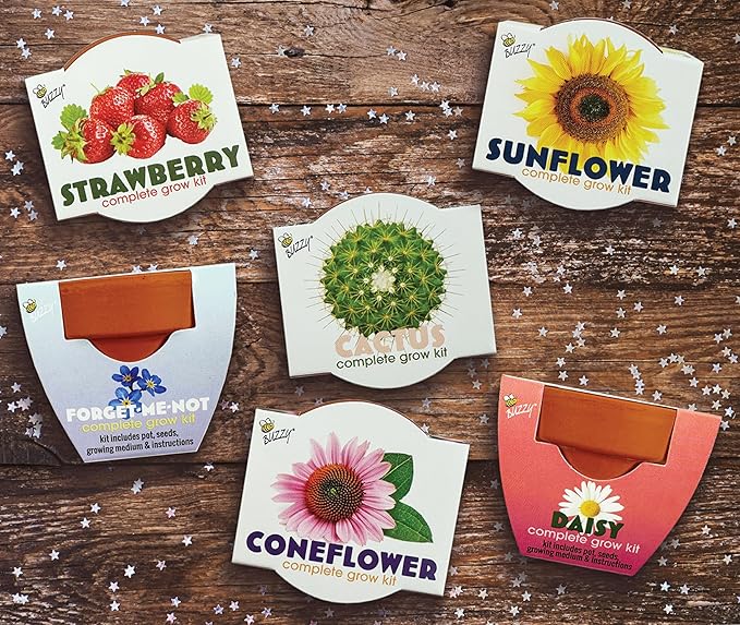 BUZZY Seeds Terracotta Mini Grow Pots 12-Pack – All-in-One Flower Kits with Growing Medium, Sunflower, Daisy, Coneflower, Strawberry, Forget-Me-Not, and Cactus Seeds, DIY Plant Starter Collection