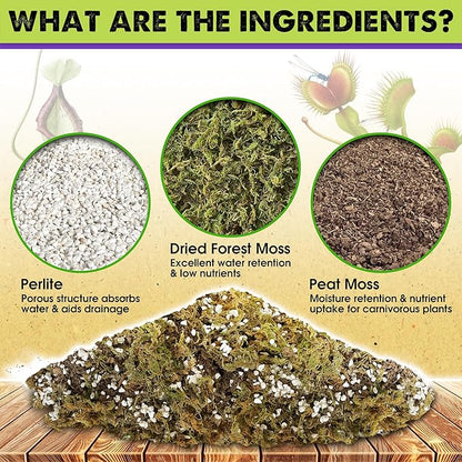 DUSPRO Carnivorous Plant Soil Mix 3QT-Include Forest Moss, Peat Moss, Perlite Potting Mix for Carnivorous Plants, Carnivorous Plants, Pitcher Plant, Butterworts, Sundews - Carnivorous Plant