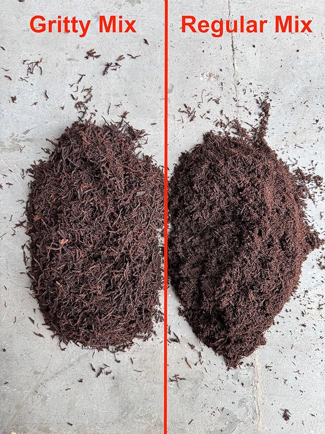 Premium Gritty New Zealand Tree Fern Fiber Growing Medium and Reptile Substrate- Natural, Organic, Long Lasting | for Orchids and Tropicals | Use in Terrariums and Vivariums (1 Gallon)