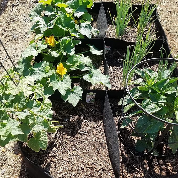Fabric Garden Bed, 3 x 6 Feet, 8 Grid Planter Box, 128 Gallon Raised Bed for Vegetables and Flowers