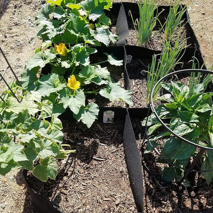 Fabric Garden Bed, 3 x 6 Feet, 8 Grid Planter Box, 128 Gallon Raised Bed for Vegetables and Flowers