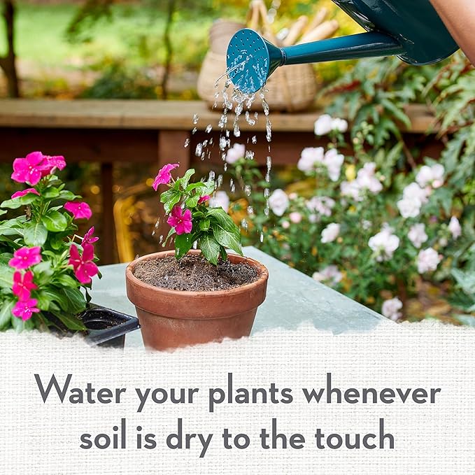 Whitney Farms Organic Potting Soil - Natural Indoor and Outdoor Container Mix for Vegetables, Herbs and Flowers, Feeds Plants up to 2 Months - 16 qt.