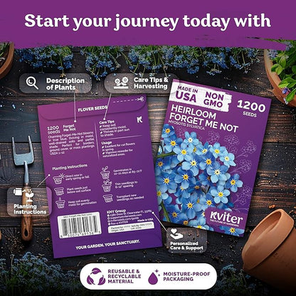 KVITER 1200 Forget Me Not (Myosotis sylvatica) Seeds – Charming Blue Spring Flowers for Shady Gardens – Easy to Grow, Ground Cover Use, Perfect for Borders and Containers