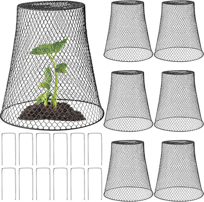 Therwen 6 Pcs Large Chicken Wire Cloche Plant Protector Cover 11x12 Inch Metal Garden Cloche Dome for Plants Wire Protection Basket with Garden Stakes Plant Cages from Animals (Black)
