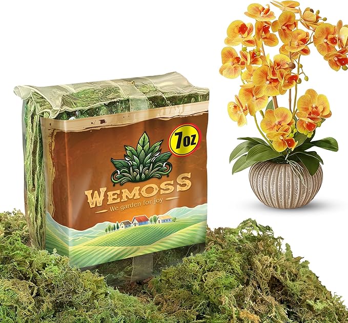Natural Moss for Plants Indoor, Dried Moss for Potted Plants, Orchid Moss for Repotting, Forest Moss for Orchid Potting Mix, Decorative Moss Filler for Planters and Craft Moss (7oz)